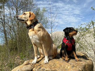 Ökumenischer Schöpfungsspaziergang