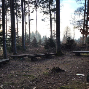 Ort der Waldkirche